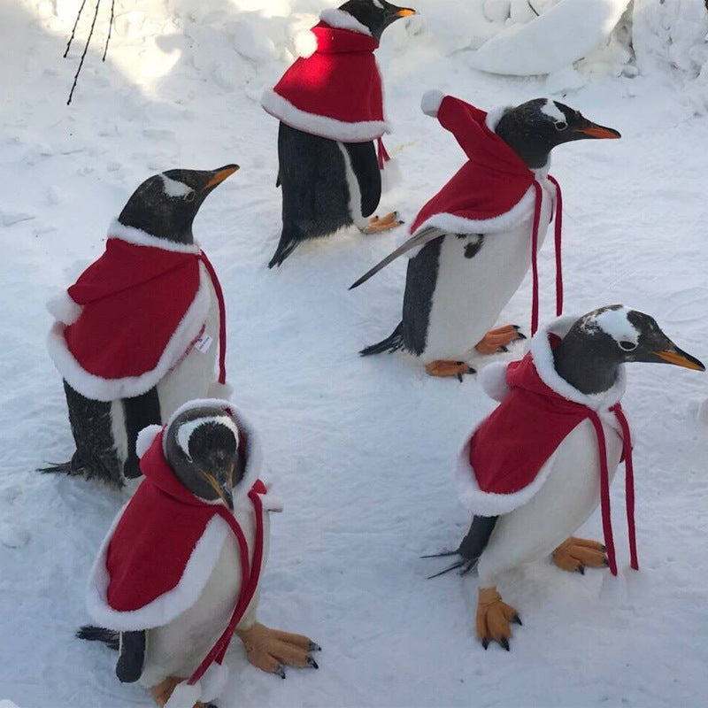 Christmas Costume Shawl Cape Pet Clothes Christmas Halloween Big Dog Christmas Costume Pet Clothing