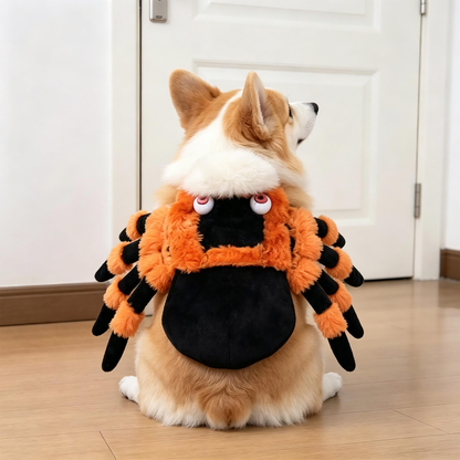 Pet Clothes, Funny Dagger Transformation Costumes, Halloween Pet Supplies, Dog Clothes for Autumn and Winter