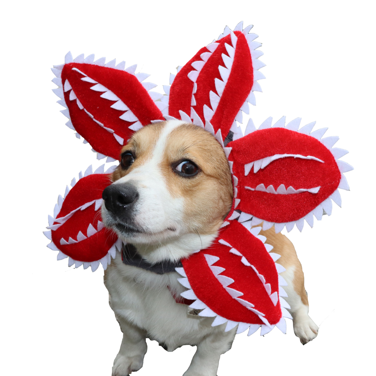 Dog Cat Funny Man-Eating Flower Headgear Halloween Pet Funny Headwear Teddy