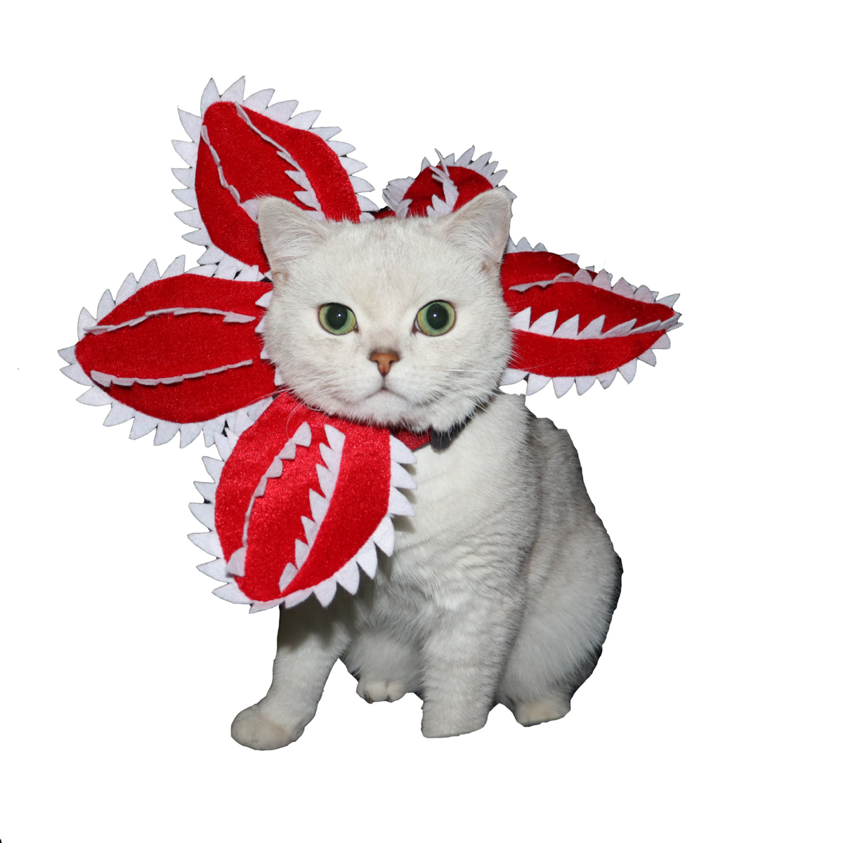 Dog Cat Funny Man-Eating Flower Headgear Halloween Pet Funny Headwear Teddy
