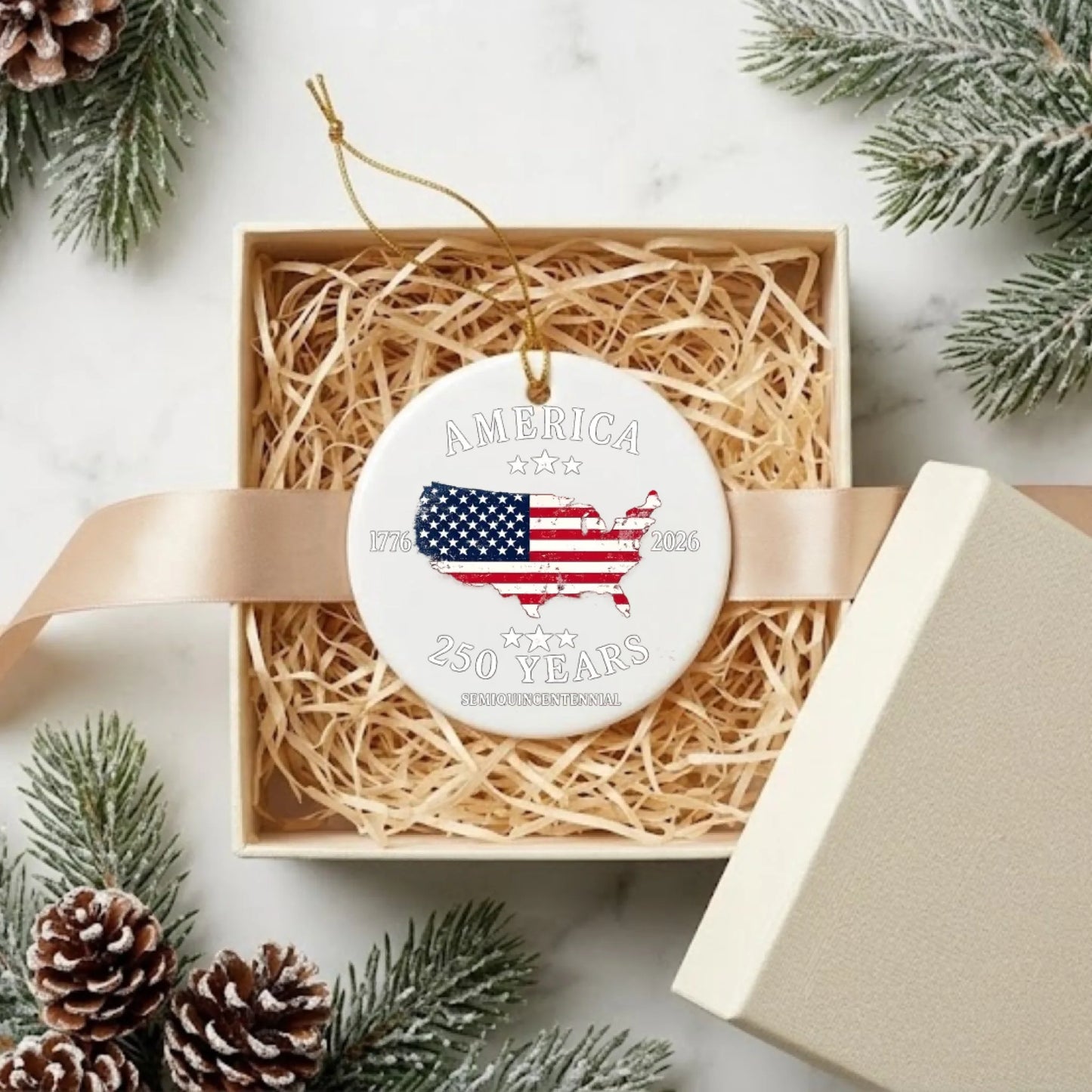 America 250 Years Semiquincentennial Ornament US Map Flag - SKU022