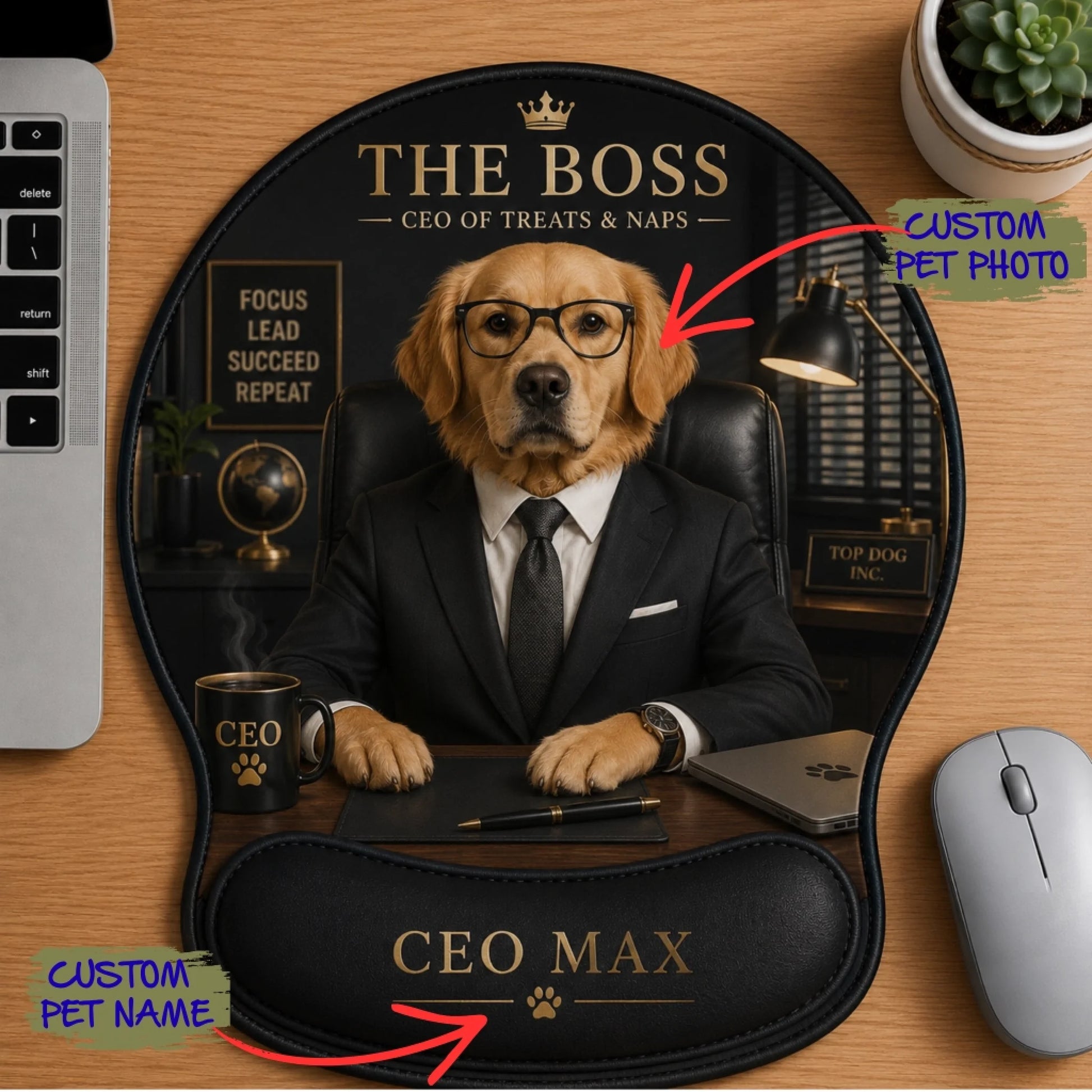 Office CEO Collection