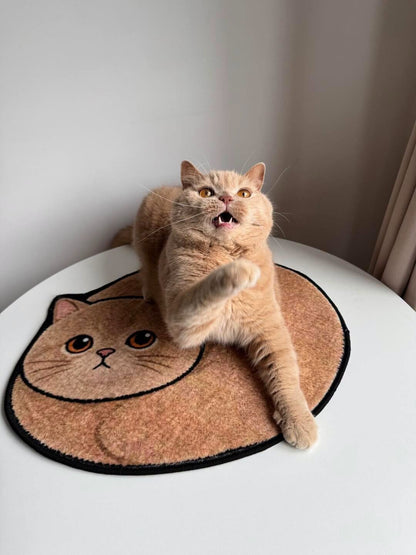 Cute Animal Door Mat, 3D Cat Printed Doormat, Funny Kitten Rug for Bedroom Bathroom & Entrance Decor