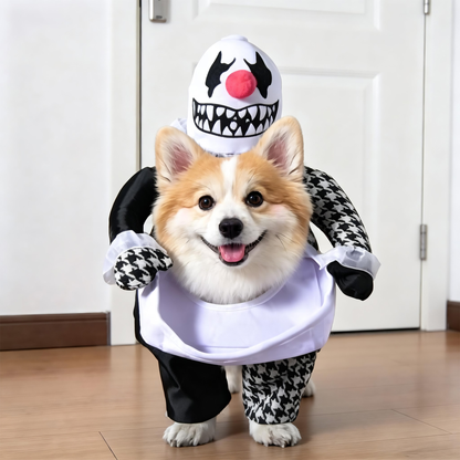Pet Clothes, Funny Dagger Transformation Costumes, Halloween Pet Supplies, Dog Clothes for Autumn and Winter