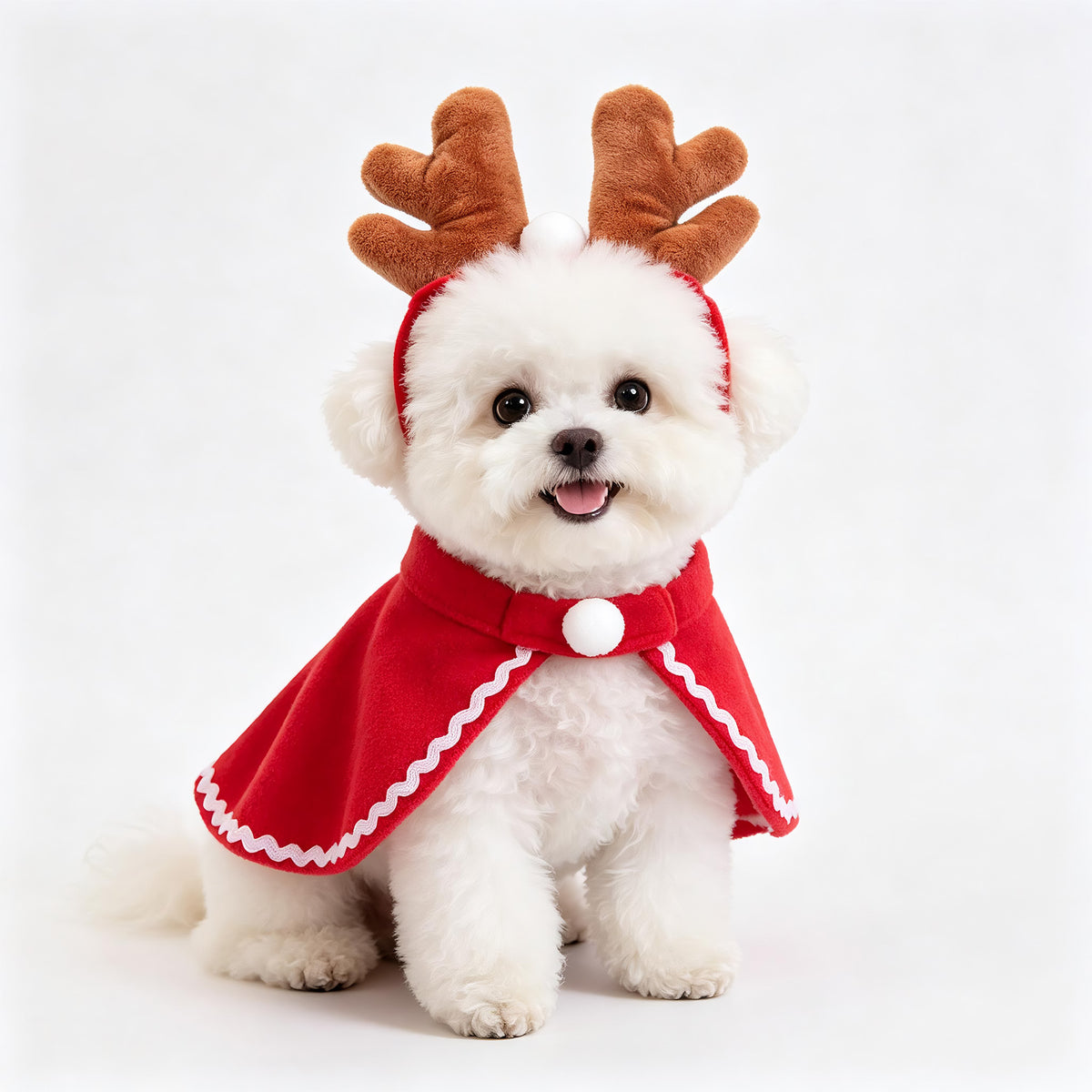 Cat and Dog Hats, Christmas Scarves, Capes, Transformation Costumes