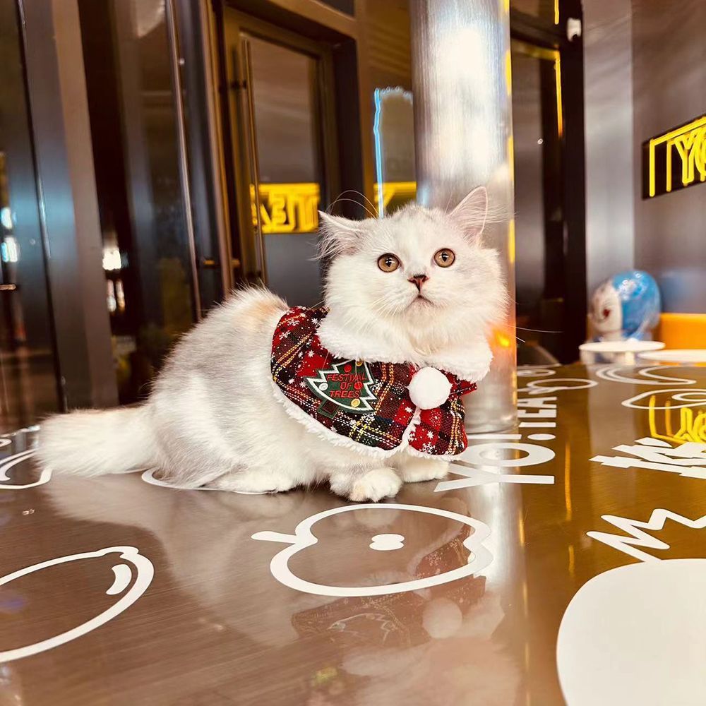 Cat Christmas Cape Dog New Year Shawl Pet Neck Scarf British Shorthair Spring Festival Autumn Winter Clothes Warm
