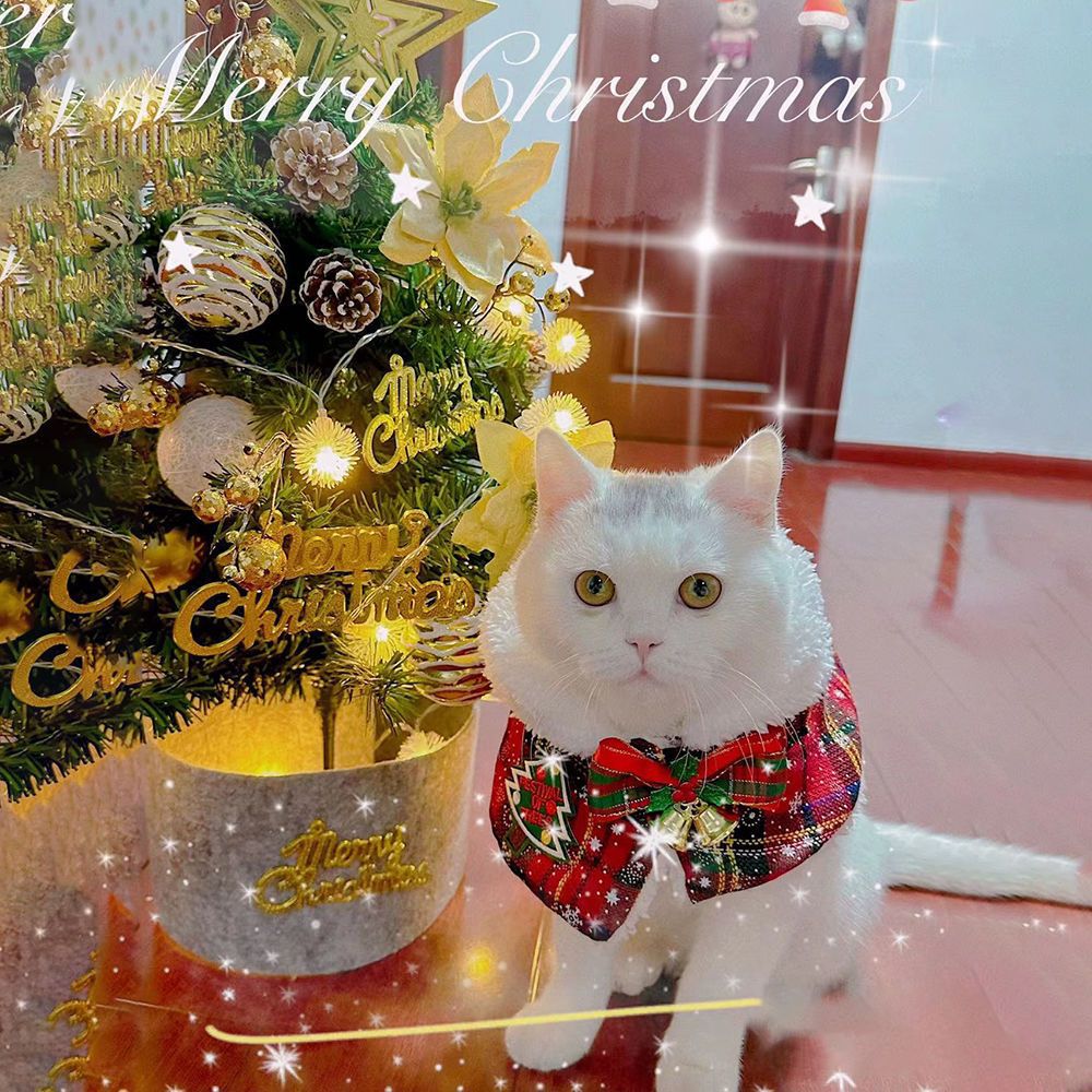 Cat Christmas Cape Dog New Year Shawl Pet Neck Scarf British Shorthair Spring Festival Autumn Winter Clothes Warm