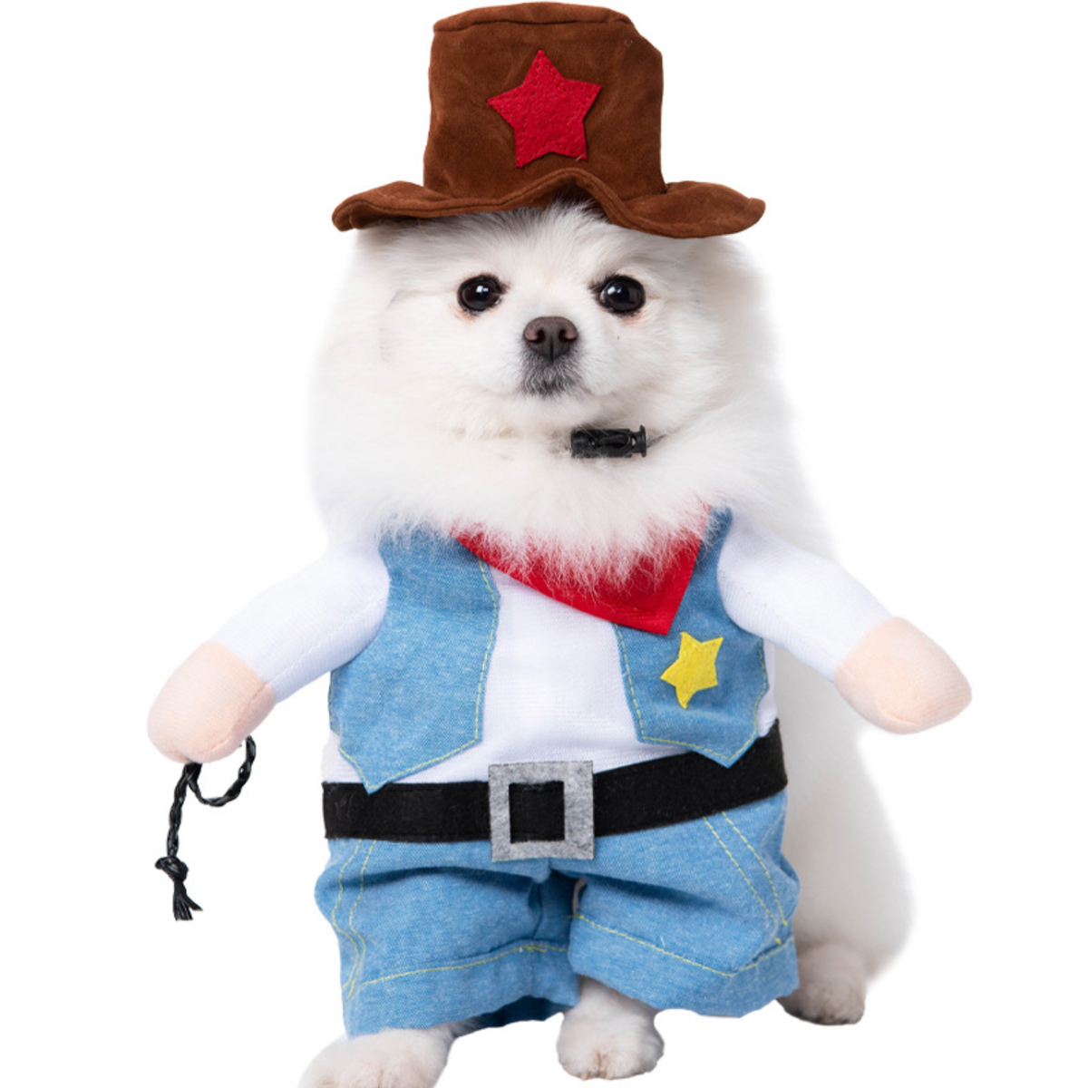 Halloween Dog Clothes Small Dog Funny Funny Transformed Dress Teddy Cat Creative Dress Pet Costume